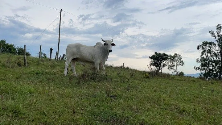 Plot for sale of 6 acres in Santo Antônio da Patrulha, RS, Brazil