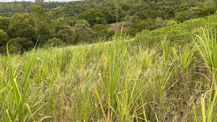 Plot for sale of 6 acres in Santo Antônio da Patrulha, RS, Brazil