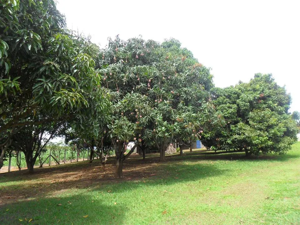 Small farm for sale of 6 acres in Caçapava, SP, Brazil