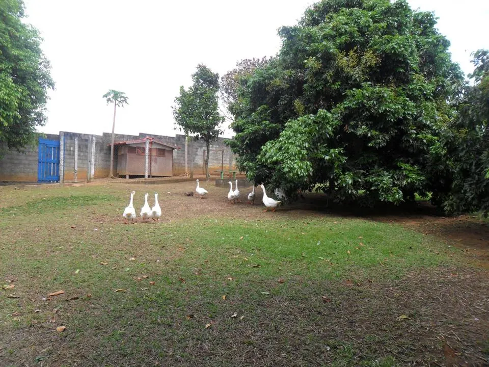 Small farm for sale of 6 acres in Caçapava, SP, Brazil