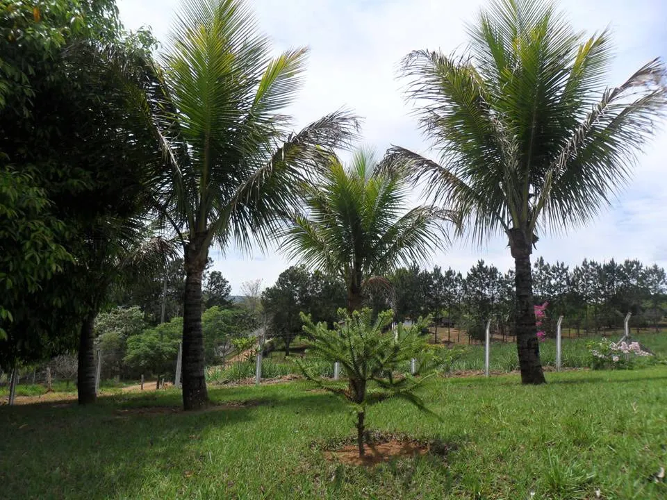 Small farm for sale of 6 acres in Caçapava, SP, Brazil