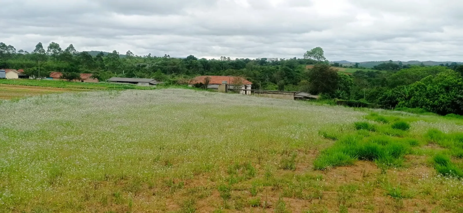 Sítio à venda de 5 ha em Biritiba-Mirim, SP, Brasil