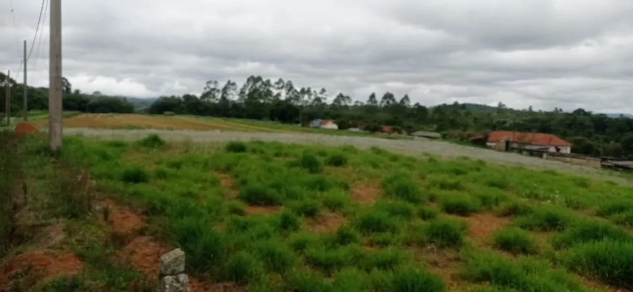 Sítio à venda de 5 ha em Biritiba-Mirim, SP, Brasil