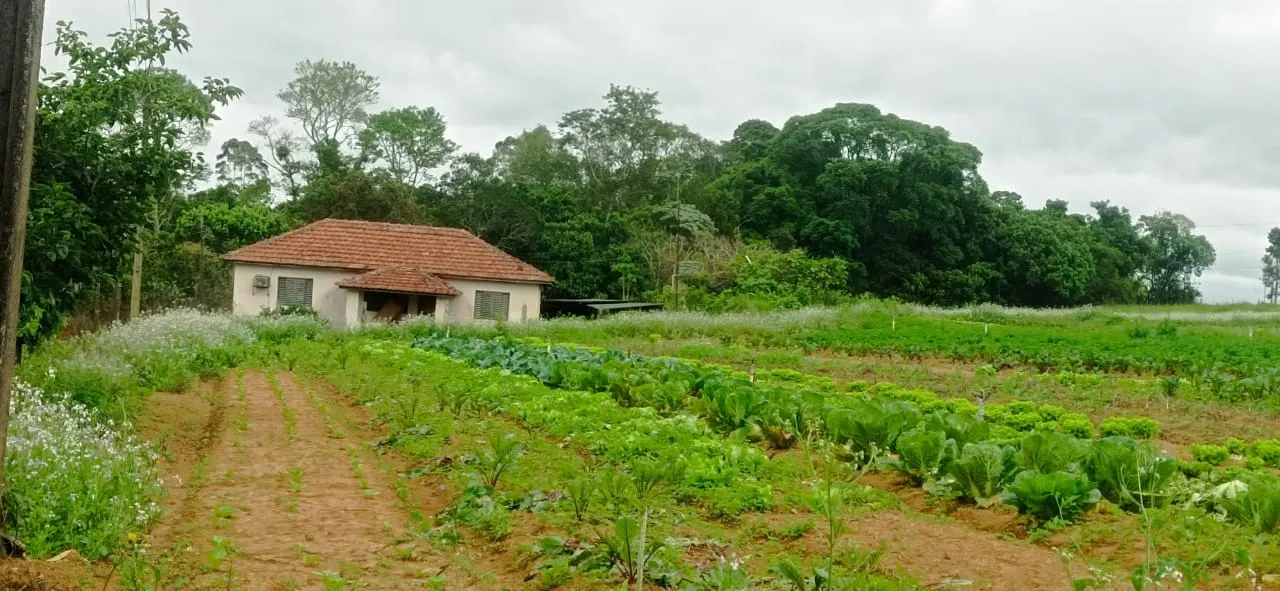 Sítio à venda de 5 ha em Biritiba-Mirim, SP, Brasil