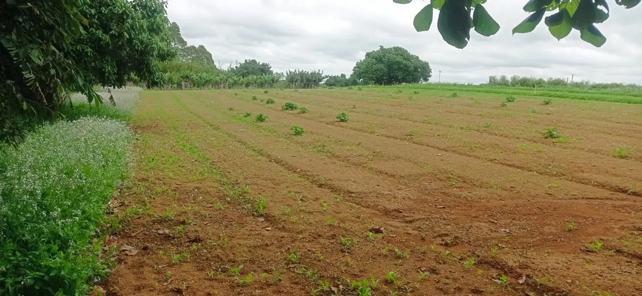 Sítio à venda de 5 ha em Biritiba-Mirim, SP, Brasil