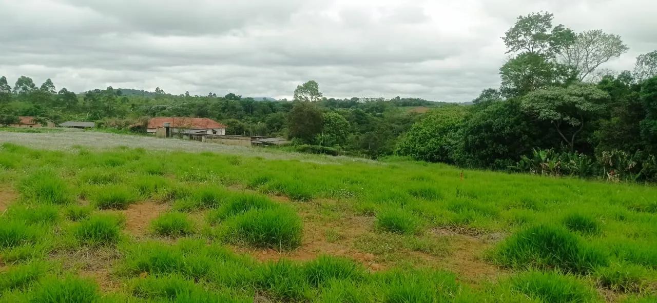 Sítio à venda de 5 ha em Biritiba-Mirim, SP, Brasil