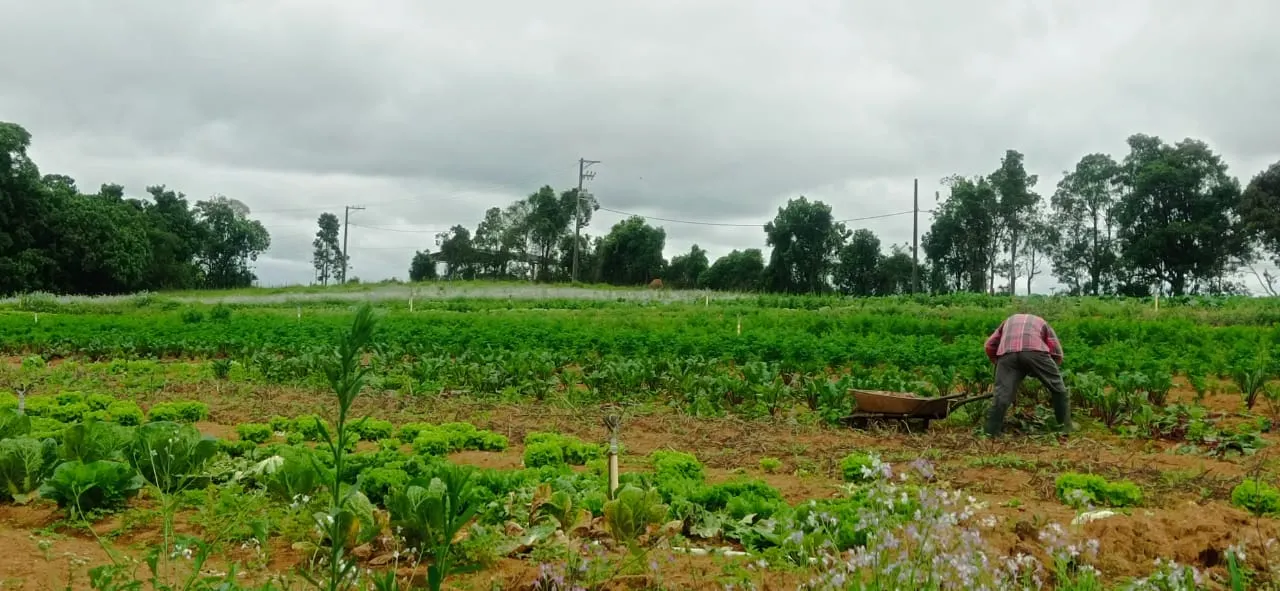 Sítio à venda de 5 ha em Biritiba-Mirim, SP, Brasil