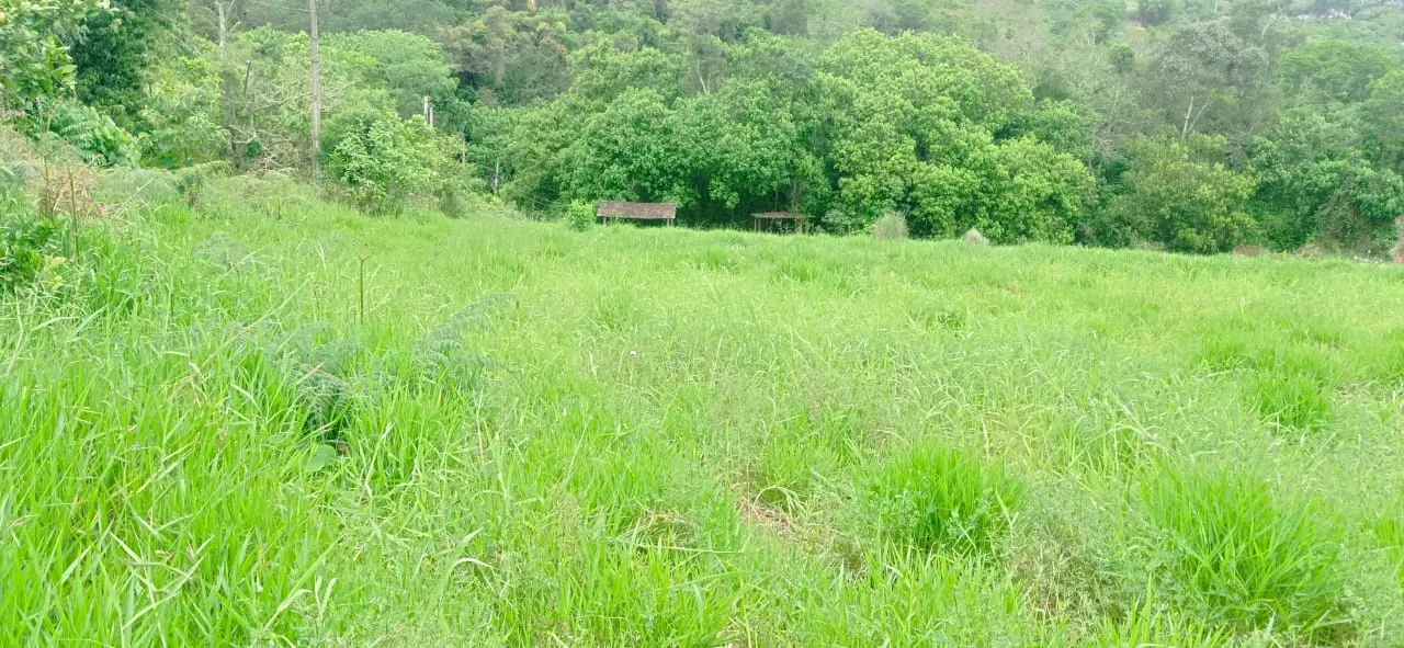 Sítio à venda de 5 ha em Biritiba-Mirim, SP, Brasil