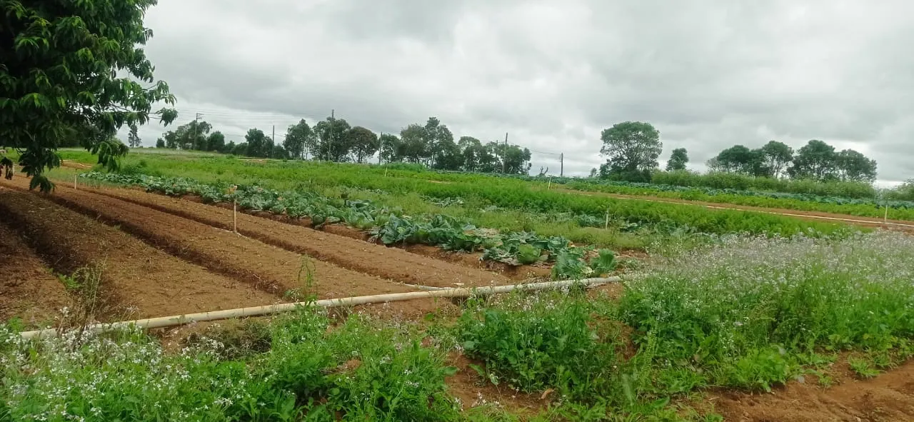 Sítio à venda de 5 ha em Biritiba-Mirim, SP, Brasil