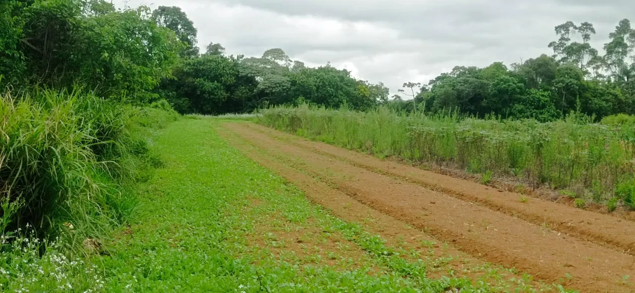 Sítio à venda de 5 ha em Biritiba-Mirim, SP, Brasil