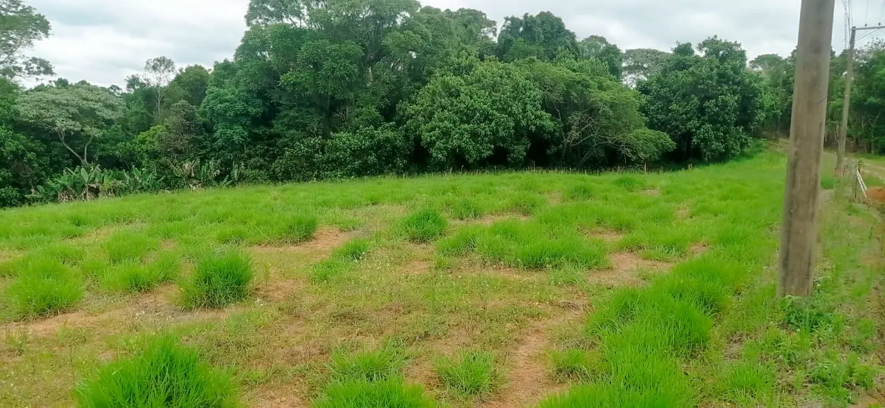 Sítio à venda de 5 ha em Biritiba-Mirim, SP, Brasil
