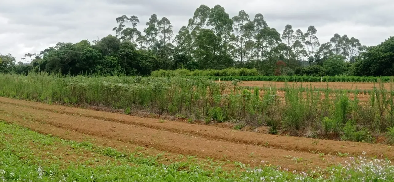 Sítio à venda de 5 ha em Biritiba-Mirim, SP, Brasil