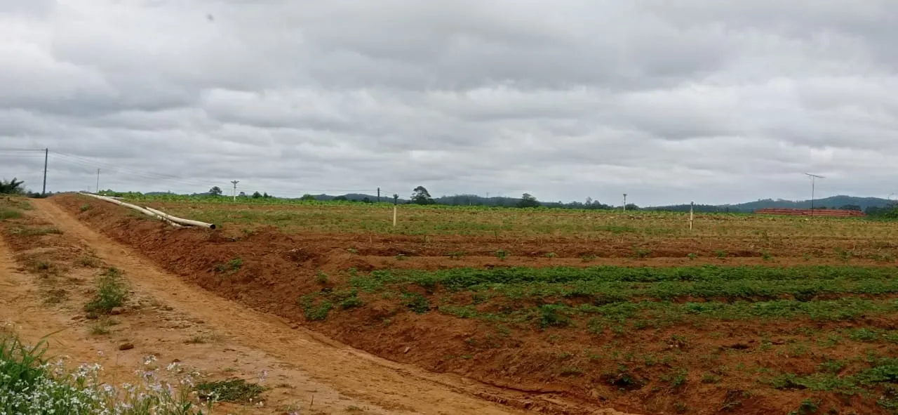 Sítio à venda de 5 ha em Biritiba-Mirim, SP, Brasil