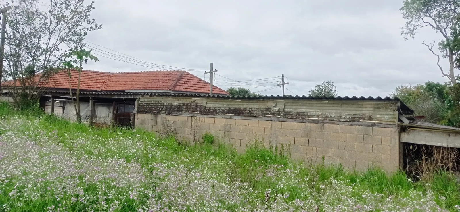 Sítio à venda de 5 ha em Biritiba-Mirim, SP, Brasil
