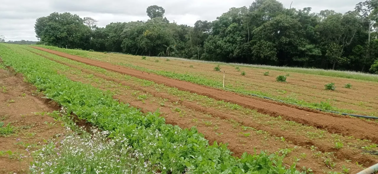 Sítio à venda de 5 ha em Biritiba-Mirim, SP, Brasil