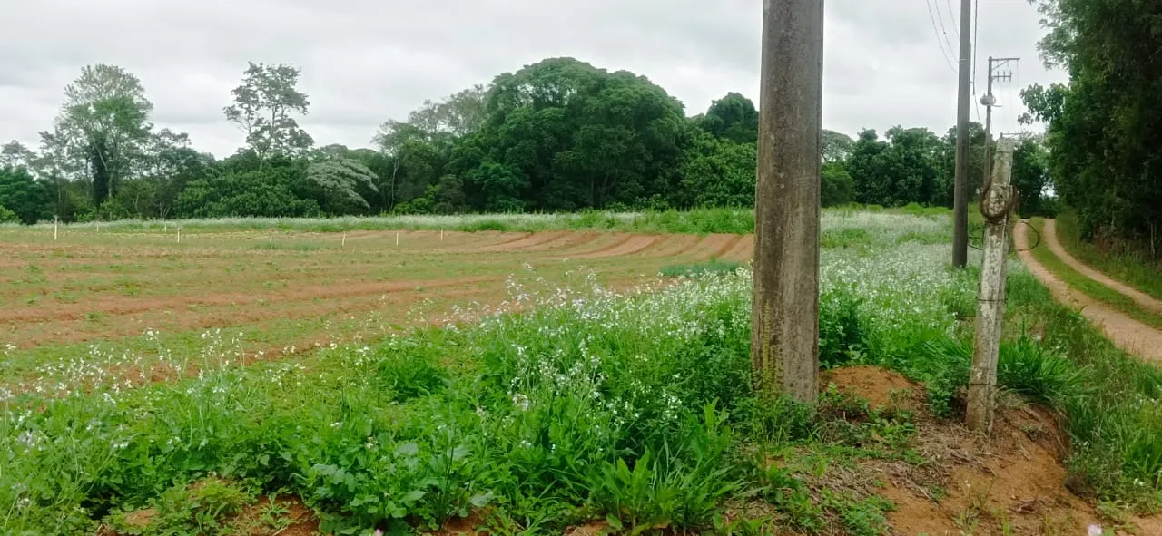 Sítio à venda de 5 ha em Biritiba-Mirim, SP, Brasil