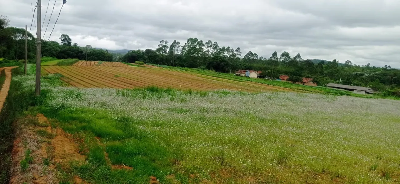 Sítio à venda de 5 ha em Biritiba-Mirim, SP, Brasil