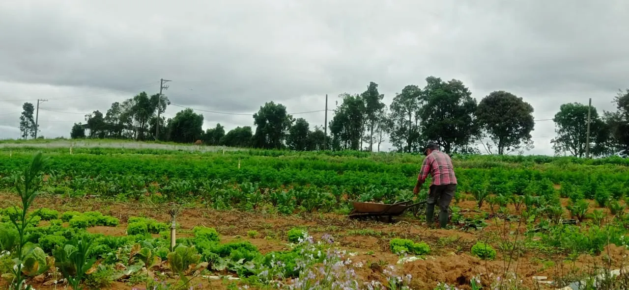 Sítio à venda de 5 ha em Biritiba-Mirim, SP, Brasil