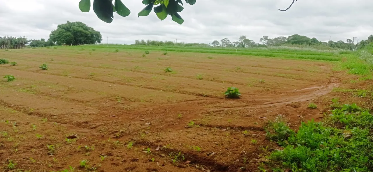 Sítio à venda de 5 ha em Biritiba-Mirim, SP, Brasil