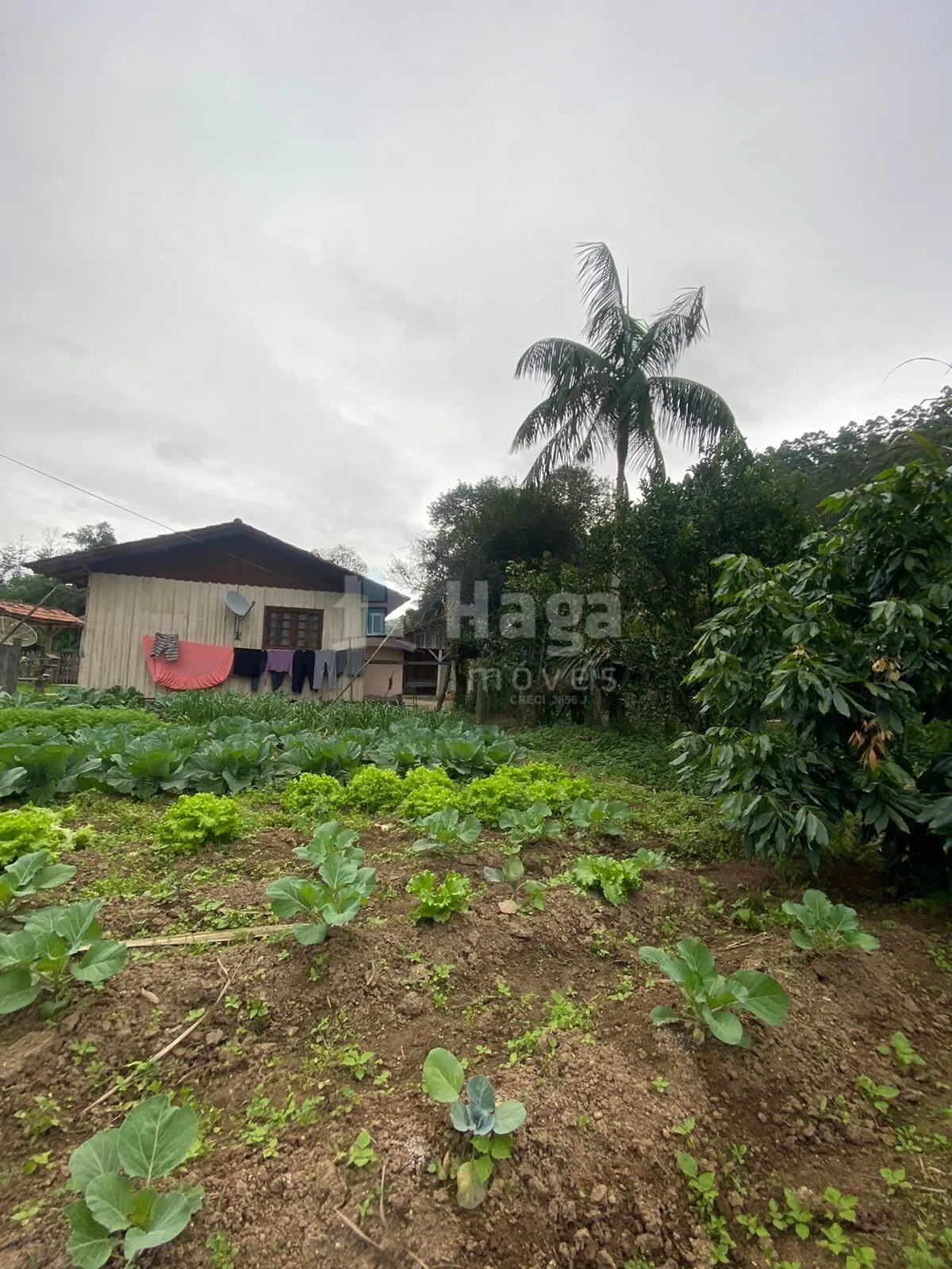 Fazenda à venda de 700 m² em Tijucas, SC, Brasil
