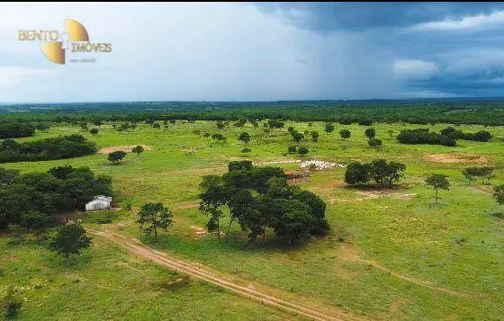 Fazenda à venda de 1.650 ha em Acorizal, MT, Brasil