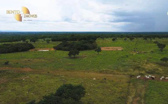 Fazenda à venda de 1.650 ha em Acorizal, MT, Brasil