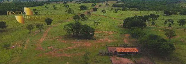Fazenda à venda de 1.650 ha em Acorizal, MT, Brasil