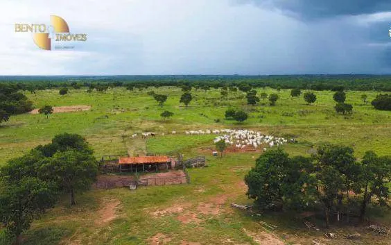 Fazenda à venda de 1.650 ha em Acorizal, MT, Brasil