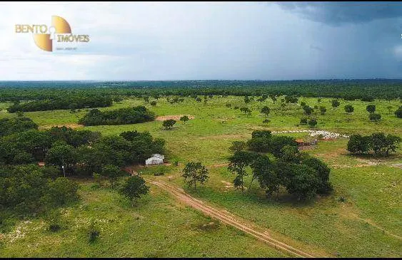 Fazenda à venda de 1.650 ha em Acorizal, MT, Brasil