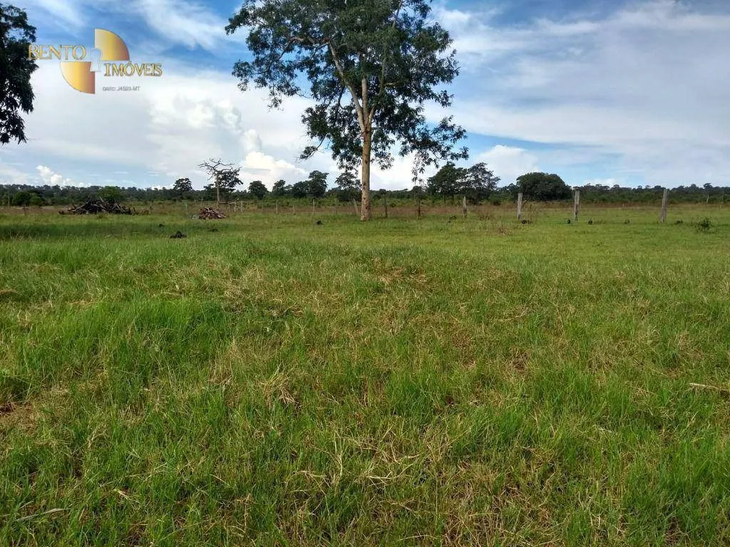 Fazenda à venda de 1.650 ha em Acorizal, MT, Brasil