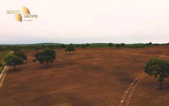 Fazenda à venda de 1.650 ha em Acorizal, MT, Brasil