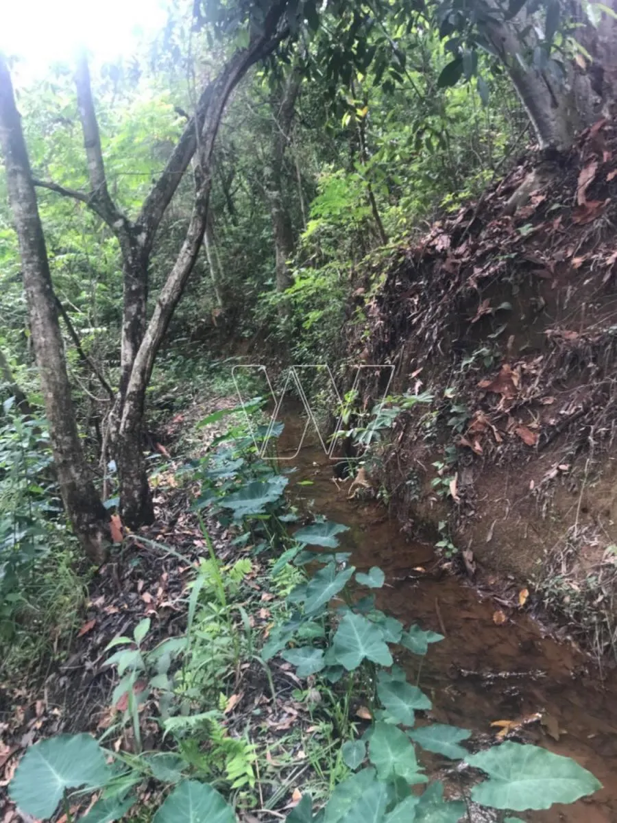 Sítio à venda de 7 ha em Campinas, SP, Brasil