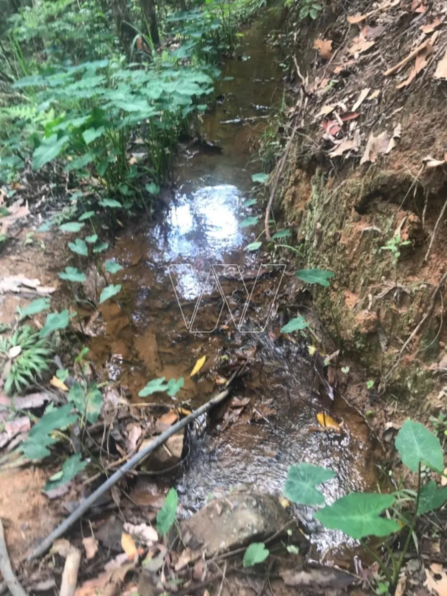 Sítio à venda de 7 ha em Campinas, SP, Brasil