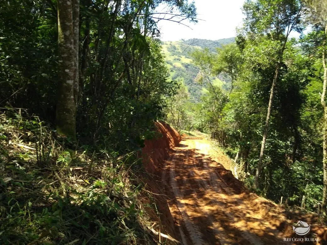 Plot for sale of 40 acres in Monteiro Lobato, SP, Brazil