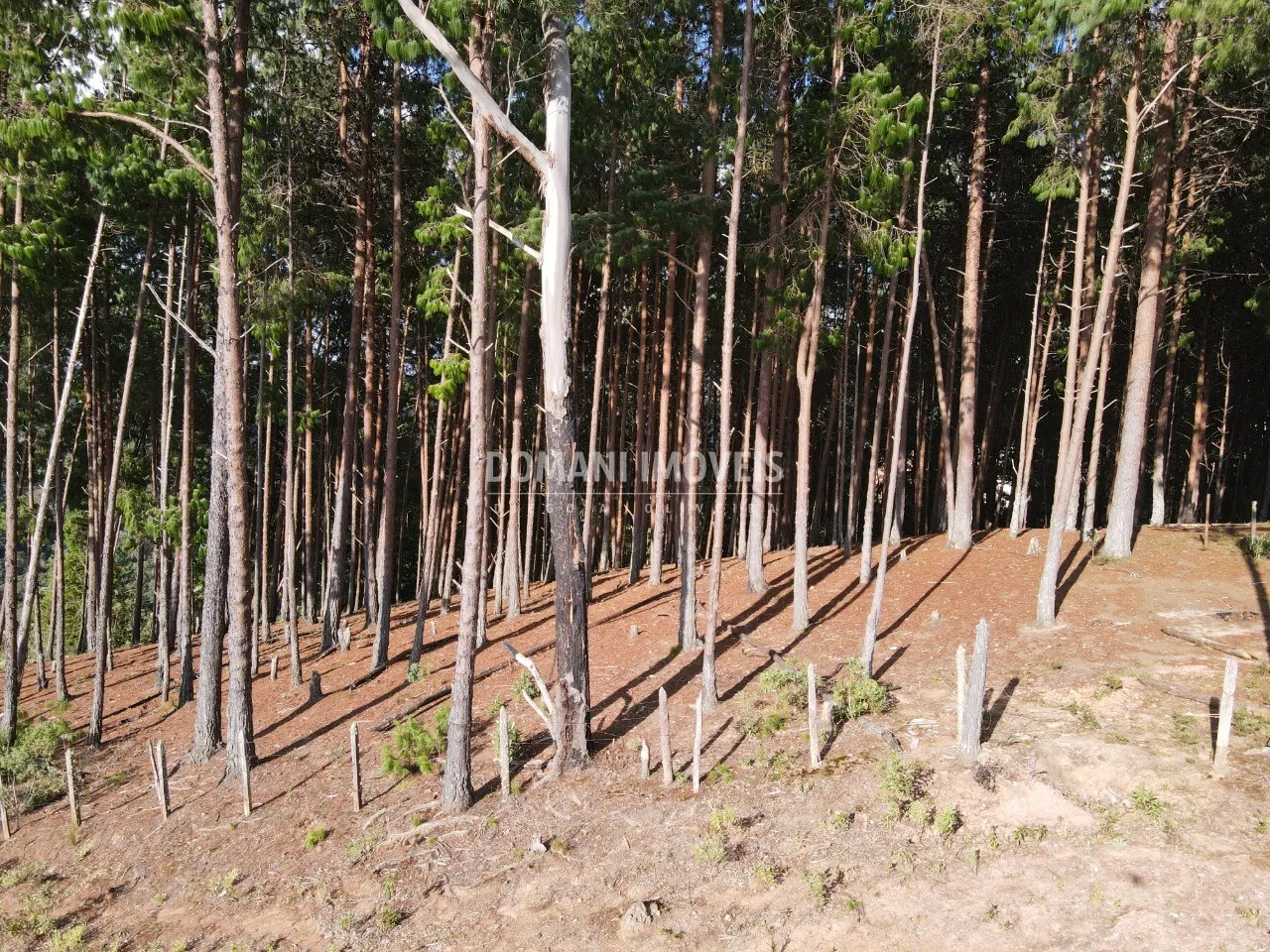 Plot for sale of 2 acres in Campos do Jordão, SP, Brazil
