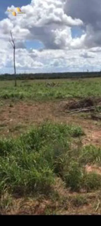 Fazenda à venda e para Arrendar de 2.347 ha em Marcelândia, MT, Brasil