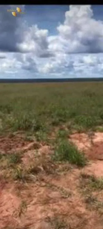 Fazenda à venda e para Arrendar de 2.347 ha em Marcelândia, MT, Brasil