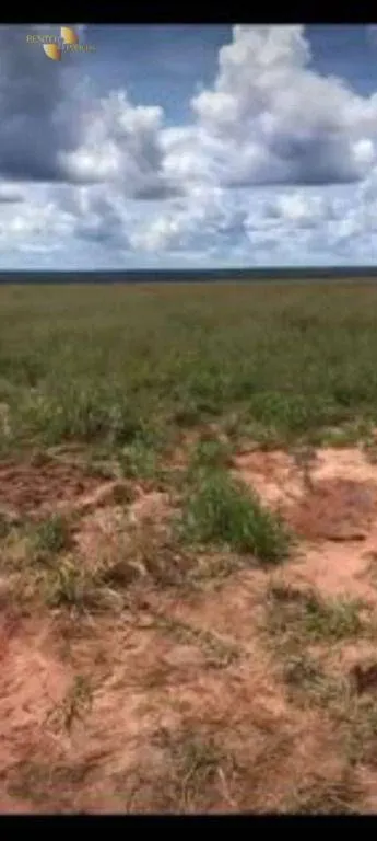 Fazenda à venda e para Arrendar de 2.347 ha em Marcelândia, MT, Brasil