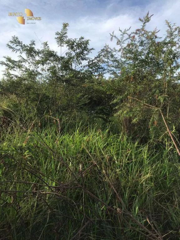 Fazenda à venda e para Arrendar de 2.347 ha em Marcelândia, MT, Brasil