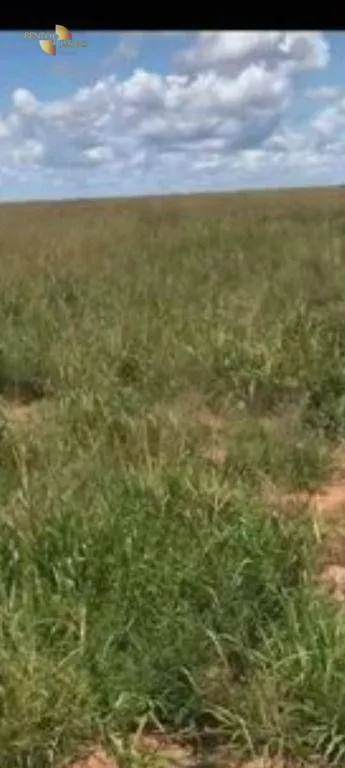 Fazenda à venda e para Arrendar de 2.347 ha em Marcelândia, MT, Brasil