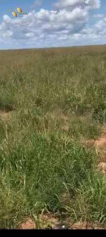 Fazenda à venda e para Arrendar de 2.347 ha em Marcelândia, MT, Brasil