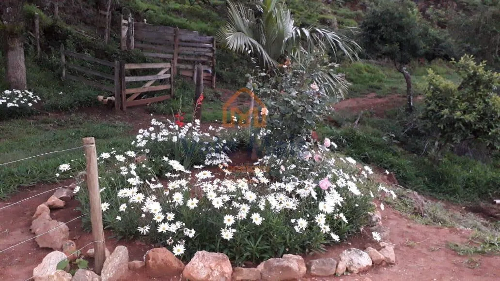 Sítio à venda de 46 ha em Silveiras, SP, Brasil