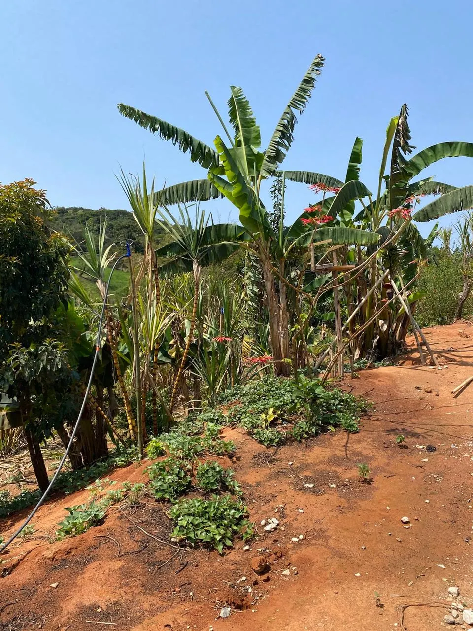 Chácara à venda de 1.340 m² em Lagoinha, SP, Brasil