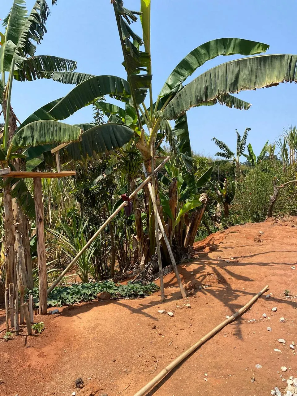Chácara à venda de 1.340 m² em Lagoinha, SP, Brasil