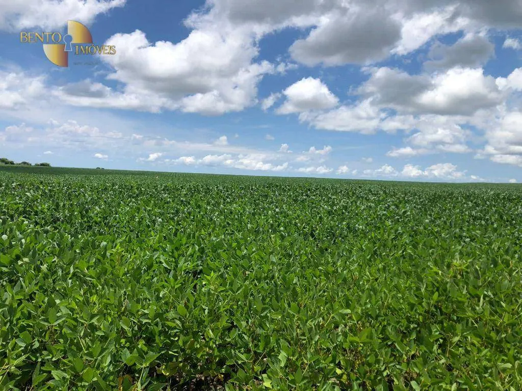 Fazenda à venda de 39.000 ha em Confresa, MT, Brasil