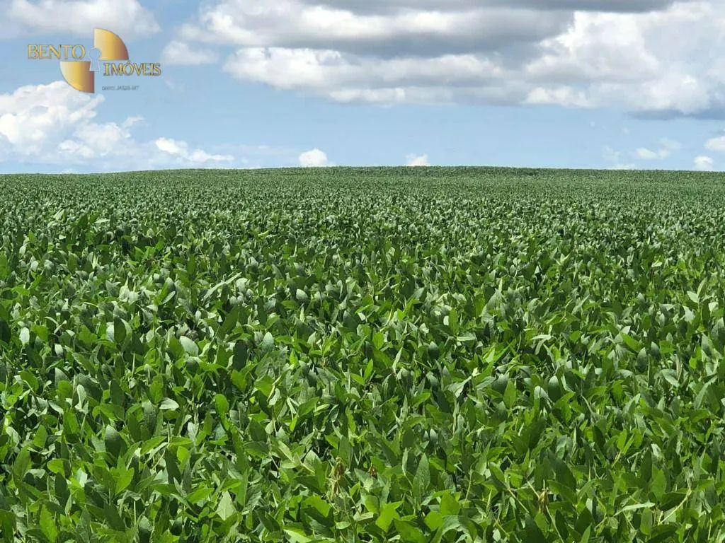 Fazenda à venda de 39.000 ha em Confresa, MT, Brasil