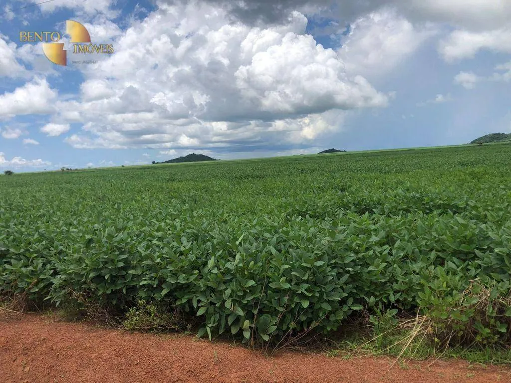 Fazenda à venda de 39.000 ha em Confresa, MT, Brasil