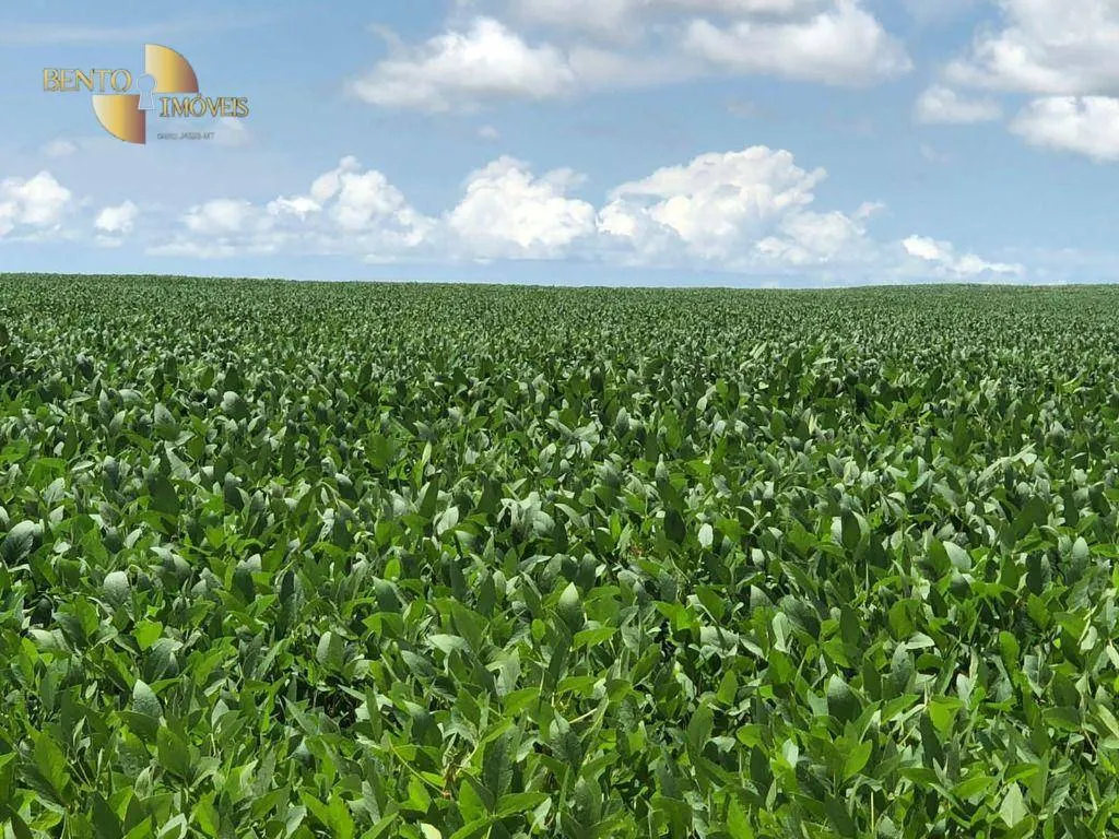 Fazenda à venda de 39.000 ha em Confresa, MT, Brasil