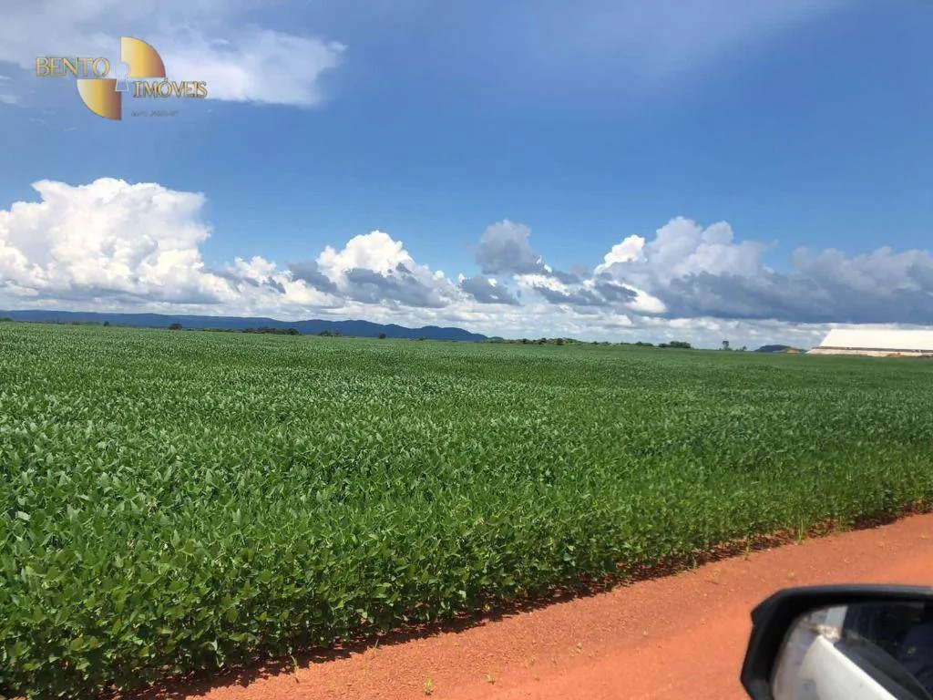 Fazenda à venda de 39.000 ha em Confresa, MT, Brasil