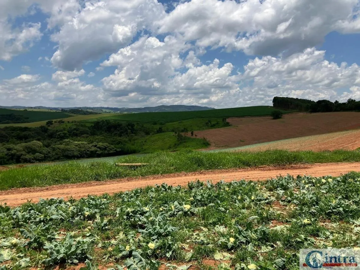 Fazenda à venda de 51 ha em Tuiuti, SP, Brasil